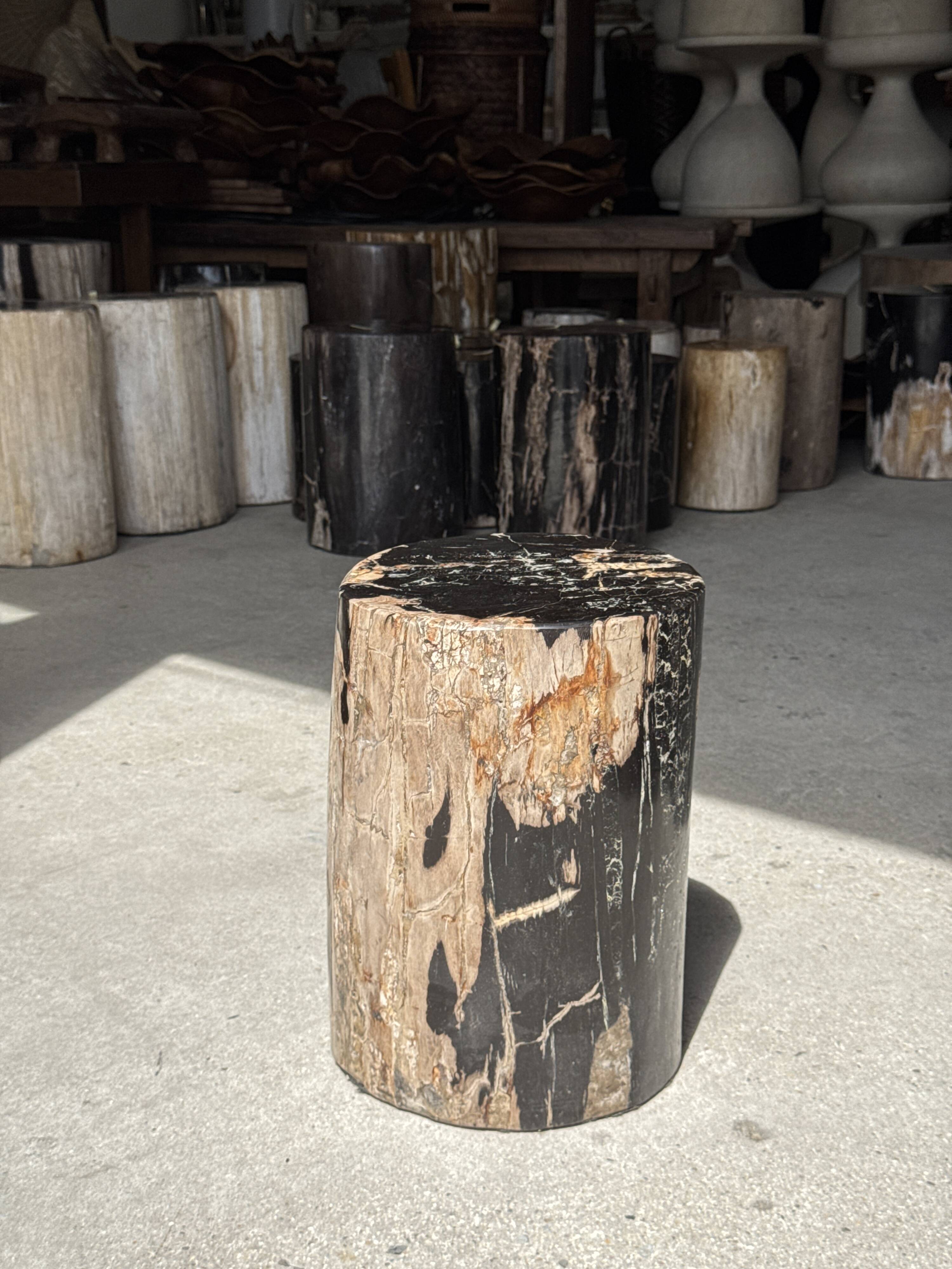 Black petrified wood side table with beige side H35 D24 - 3352