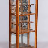 Restored Biedermeier Display Cabinet, Walnut, Polish, Spruce, Czech, 1830s