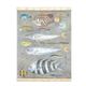 Painted canvas representing a board of fish. Contemporary work.