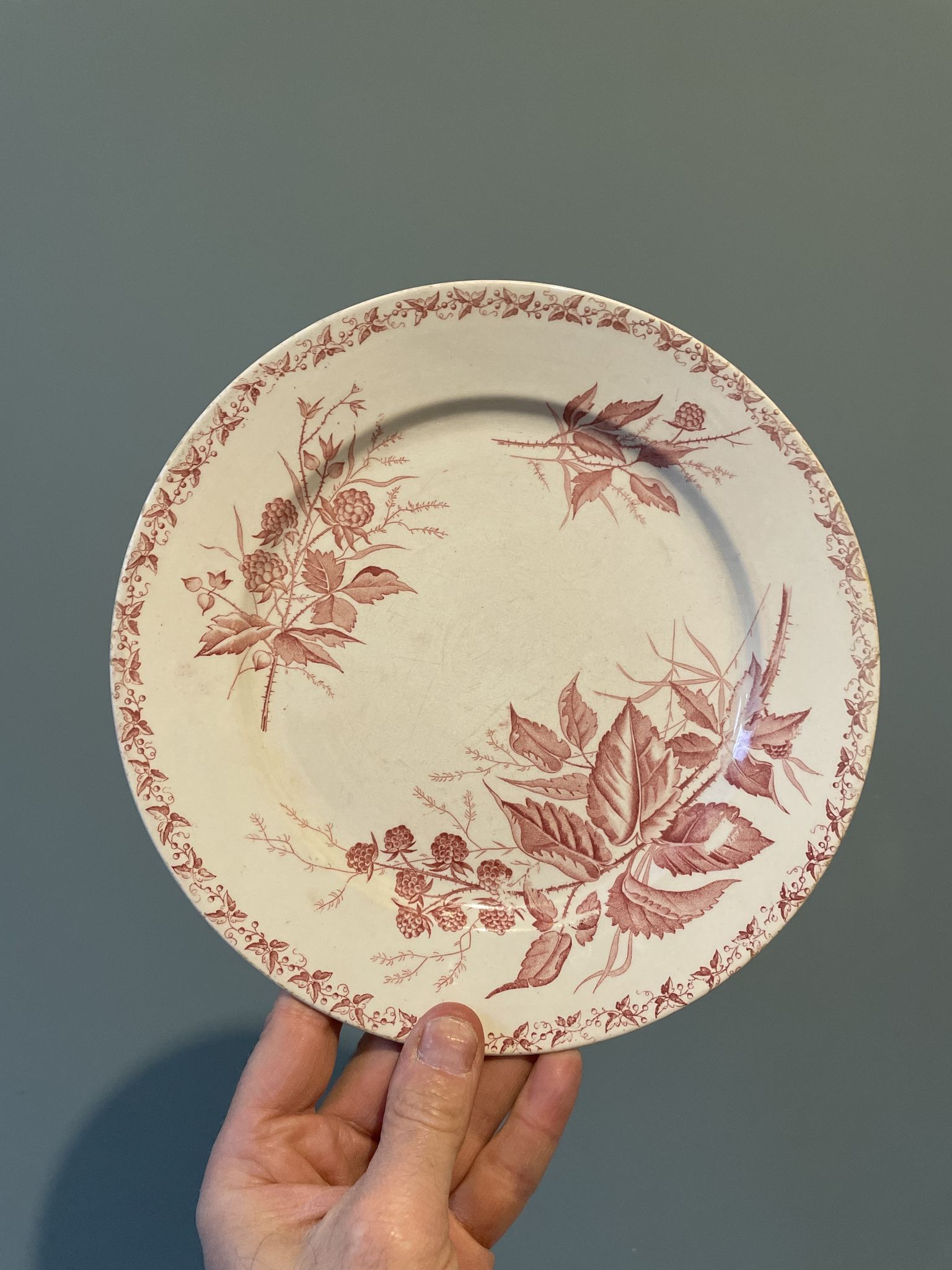 Set of 4 old flat plates Terre de Fer, earthenware of Badonviller