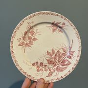 Set of 4 old flat plates Terre de Fer, earthenware of Badonviller