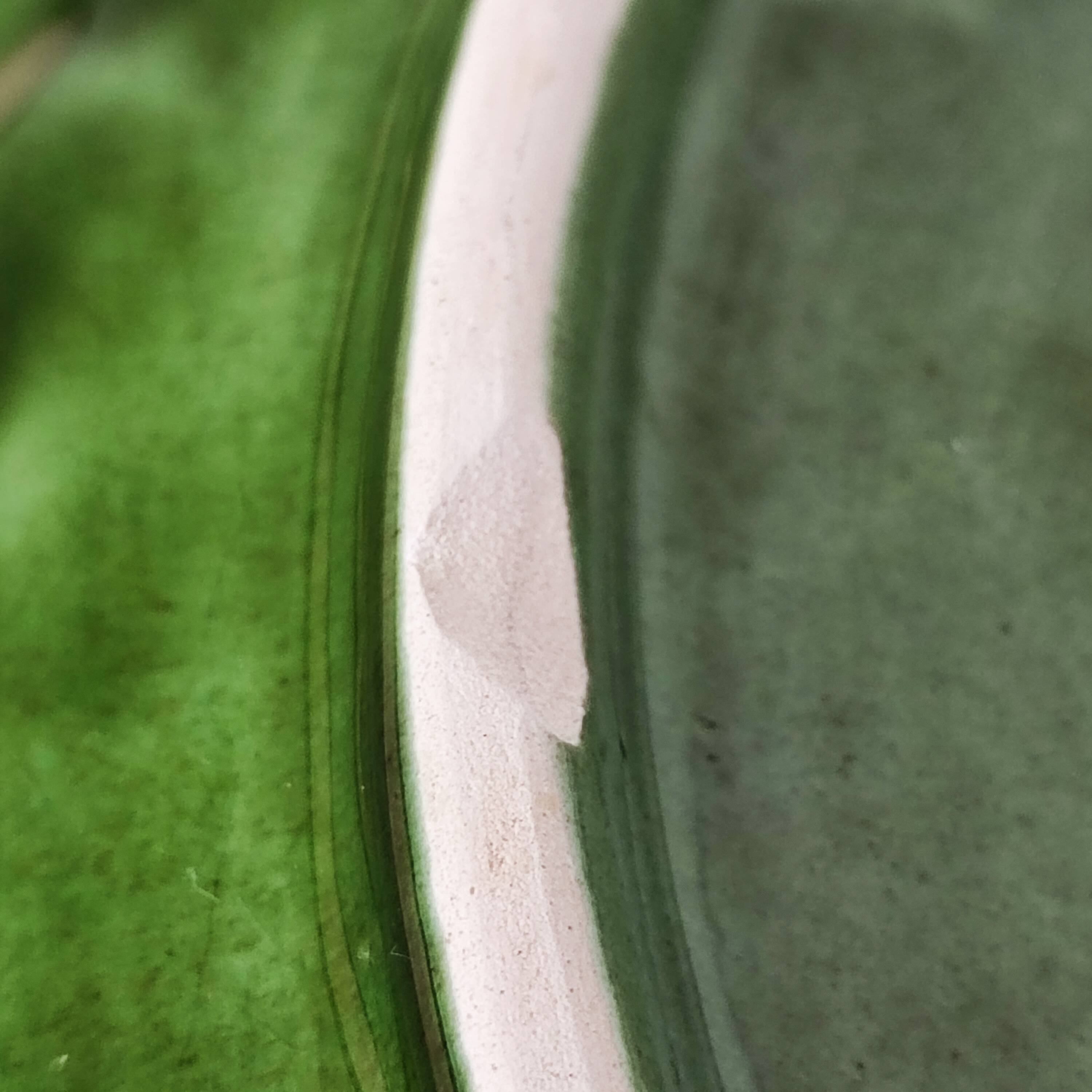 Deep “cabbage leaf” dish