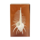 INCLUSION Vintage RESIN SHELL MUREX curiosity cabinet