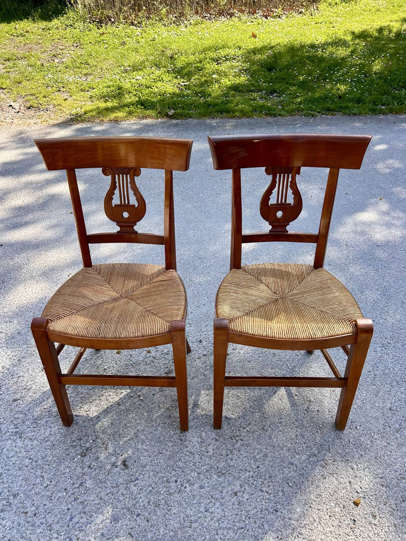 Duo chaise décor de Lyre