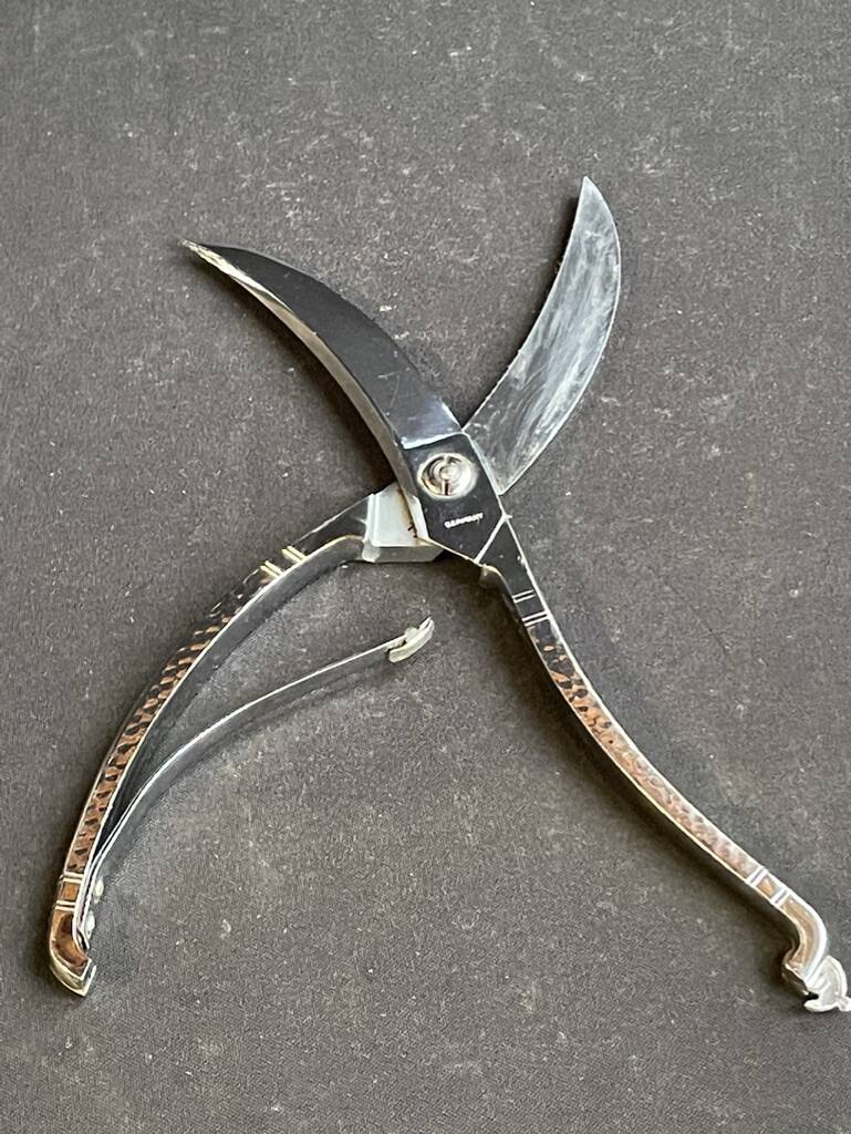Poultry pruning shears – Hammered stainless steel - Germany