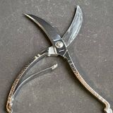 Poultry pruning shears – Hammered stainless steel - Germany