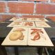 Series of 27 plates h. baillon iconography flora mushrooms vintage