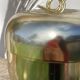 Golden apple ice bucket 1970 vintage fruit