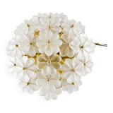 Modern mid-century wall lamp with floral pattern by Ernst Palme, 1960s