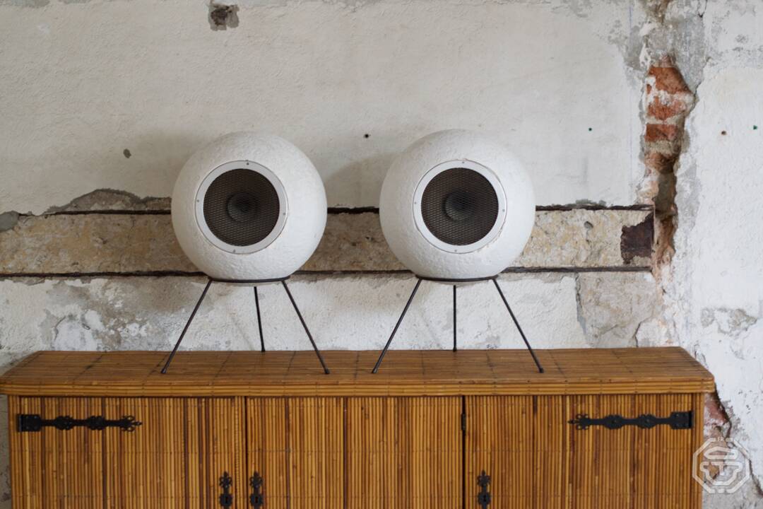 Set of 2 AS40 Bicone Supravox T215s Speakers by Joseph Léon for Elipson - 1960s