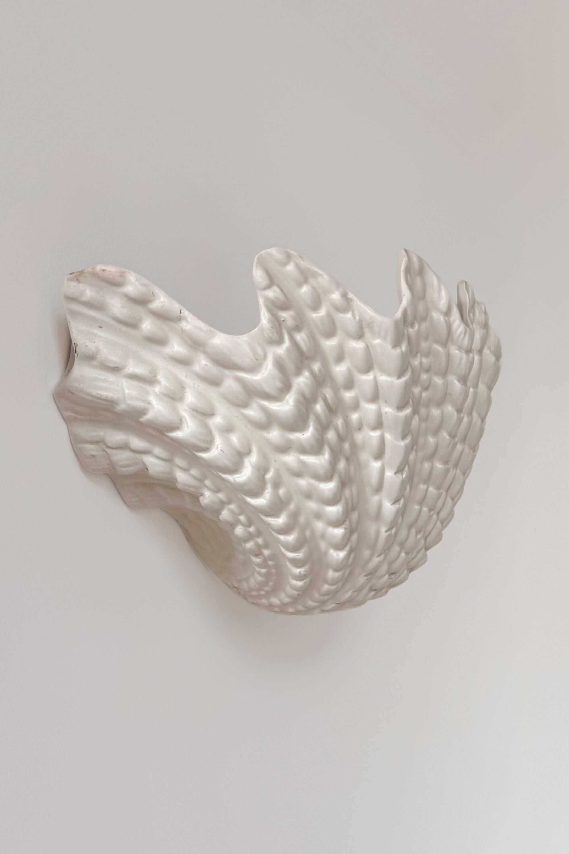 XL vintage shell wall light in plaster, France 1960