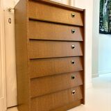 1950s/60s shoe cabinet