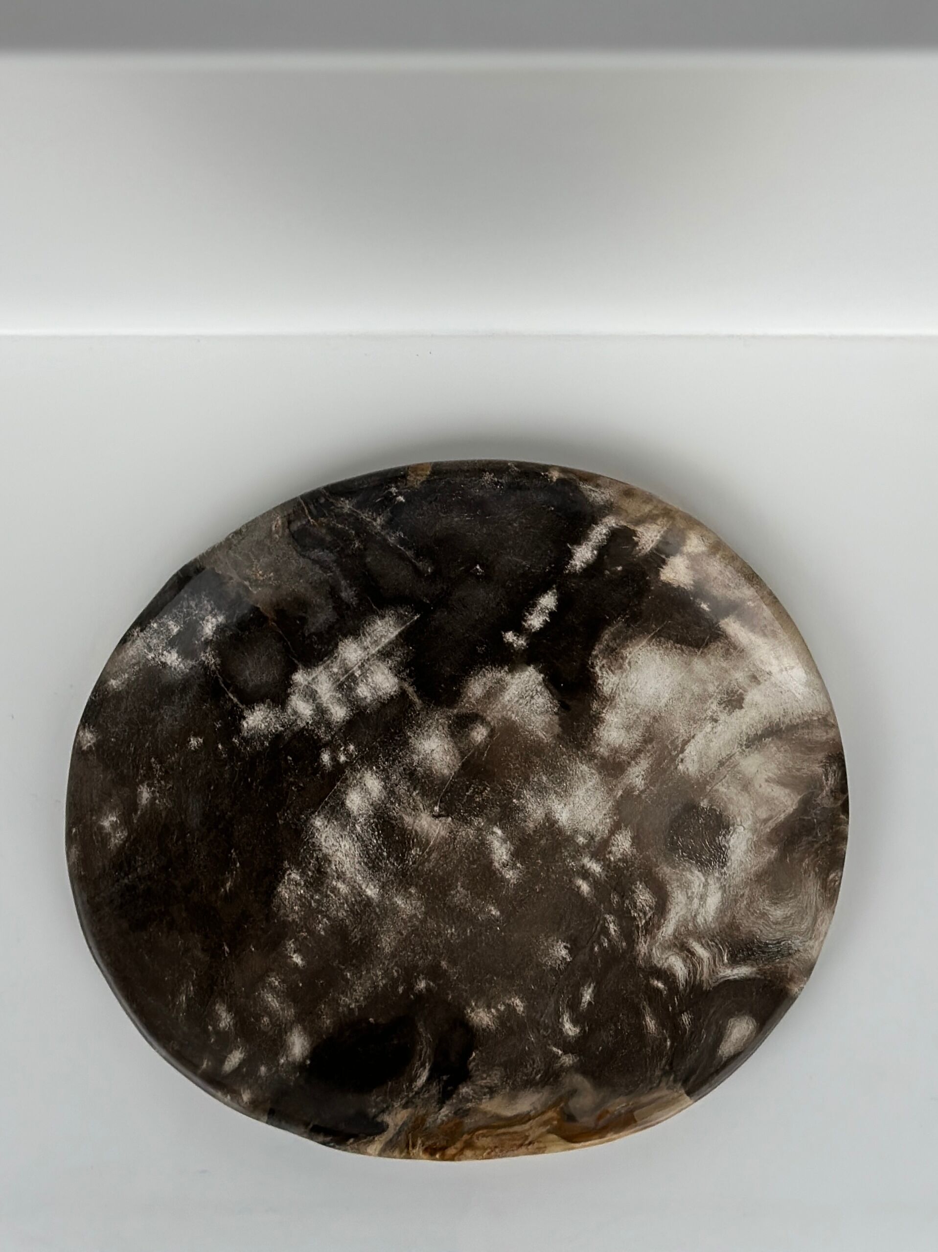 Dish in petrified wood