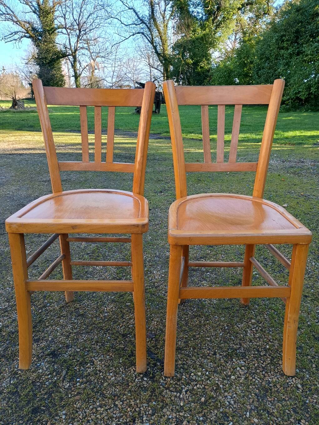 Ensemble de 10 chaises bistrot années 1950-60 vintage