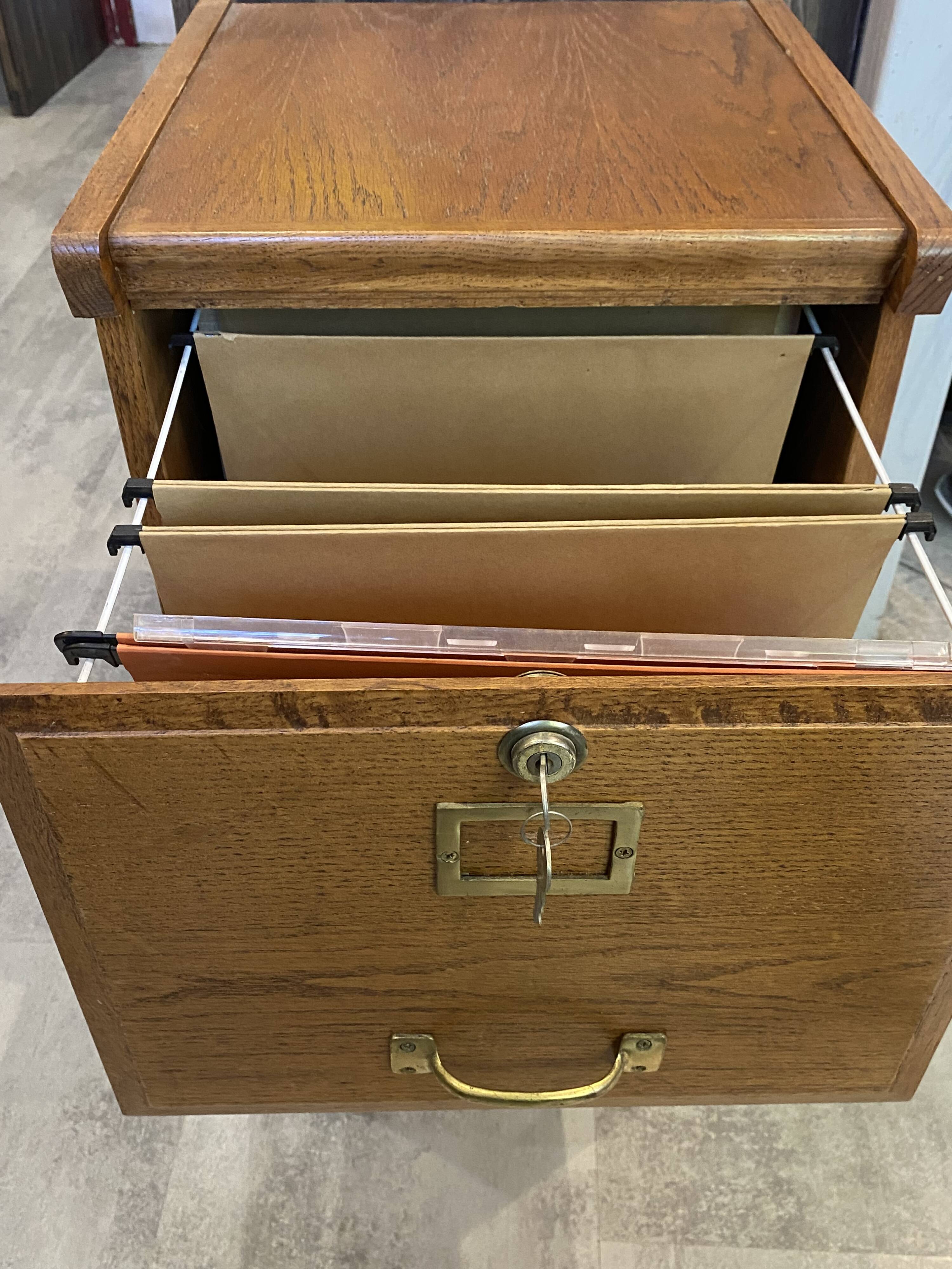 Furniture n1 for administrative storage, filing cabinet for hanging files.