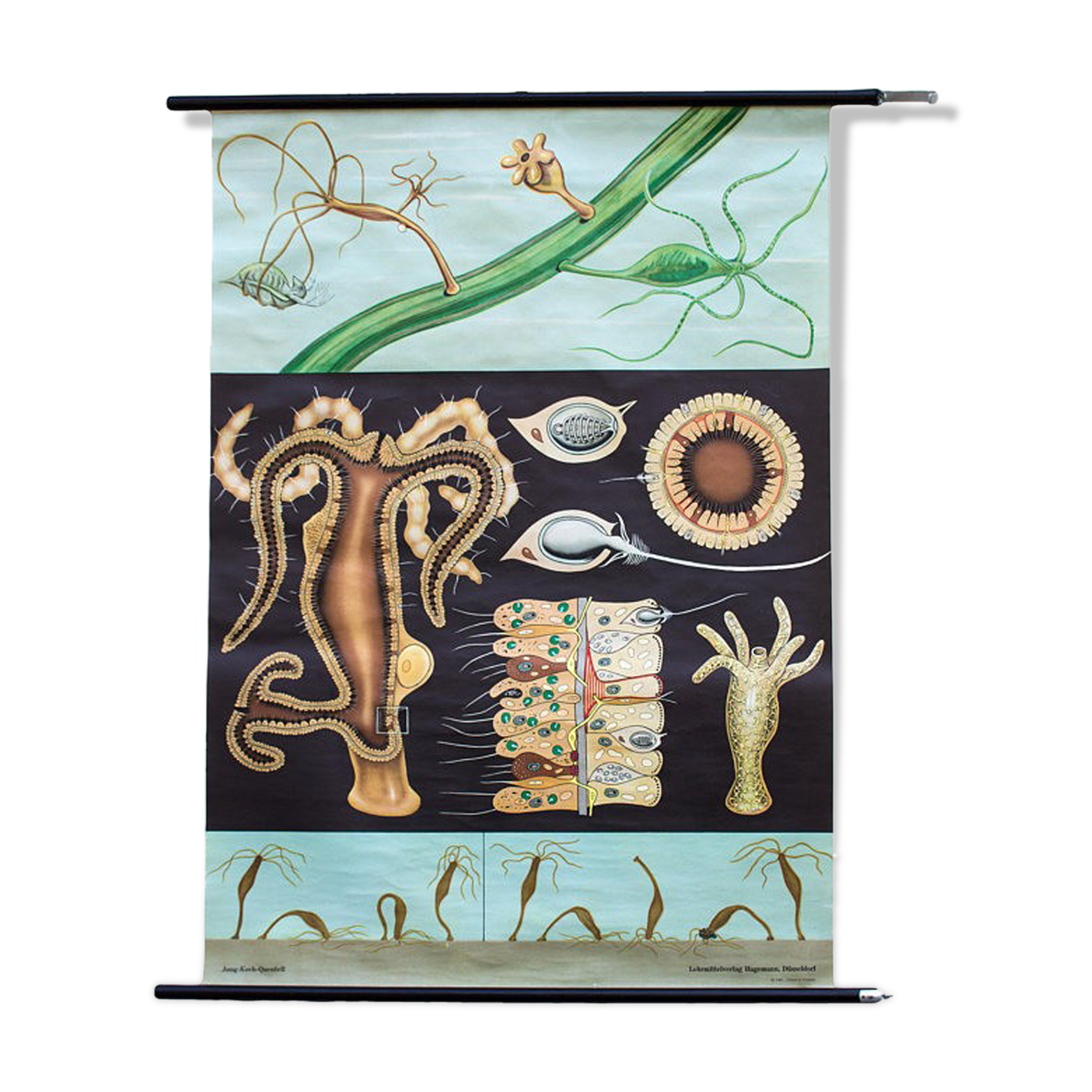 Wall poster of the Jung-Koch-Quentell School, 1965