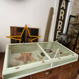 Display case with double glass