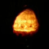 Shell lamp.