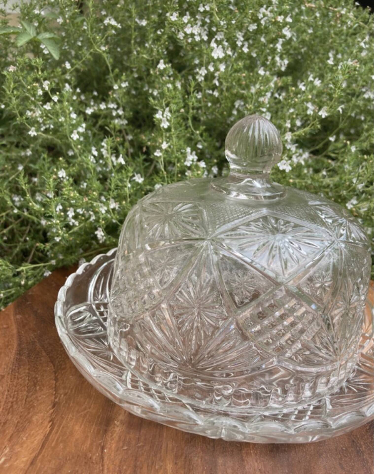 Pressed and moulded glass cheese dome