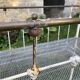 Iron bed for children
