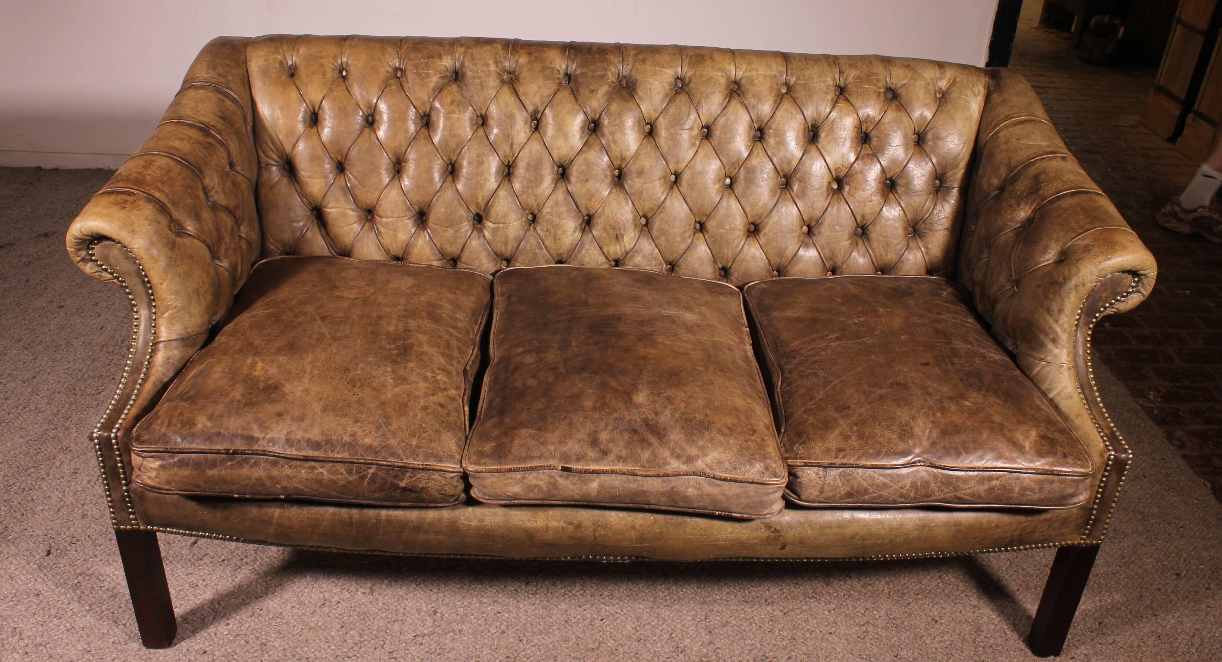 3-seater chesterfield in light olive green leather