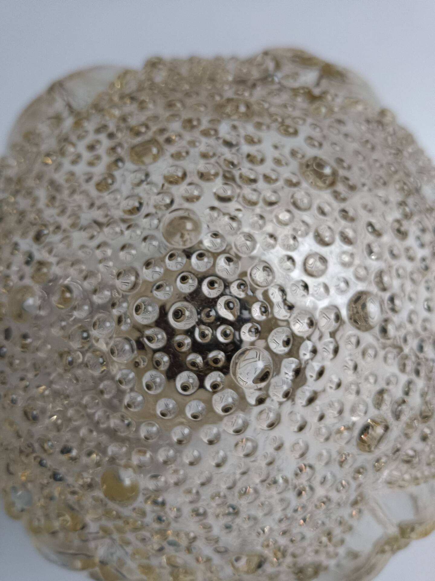 Round relief luminaire glass RZB and its electrifiable support.