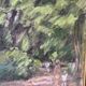 Forest walk signed