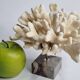 Antique White Coral on Marble Base, Height 18 cm