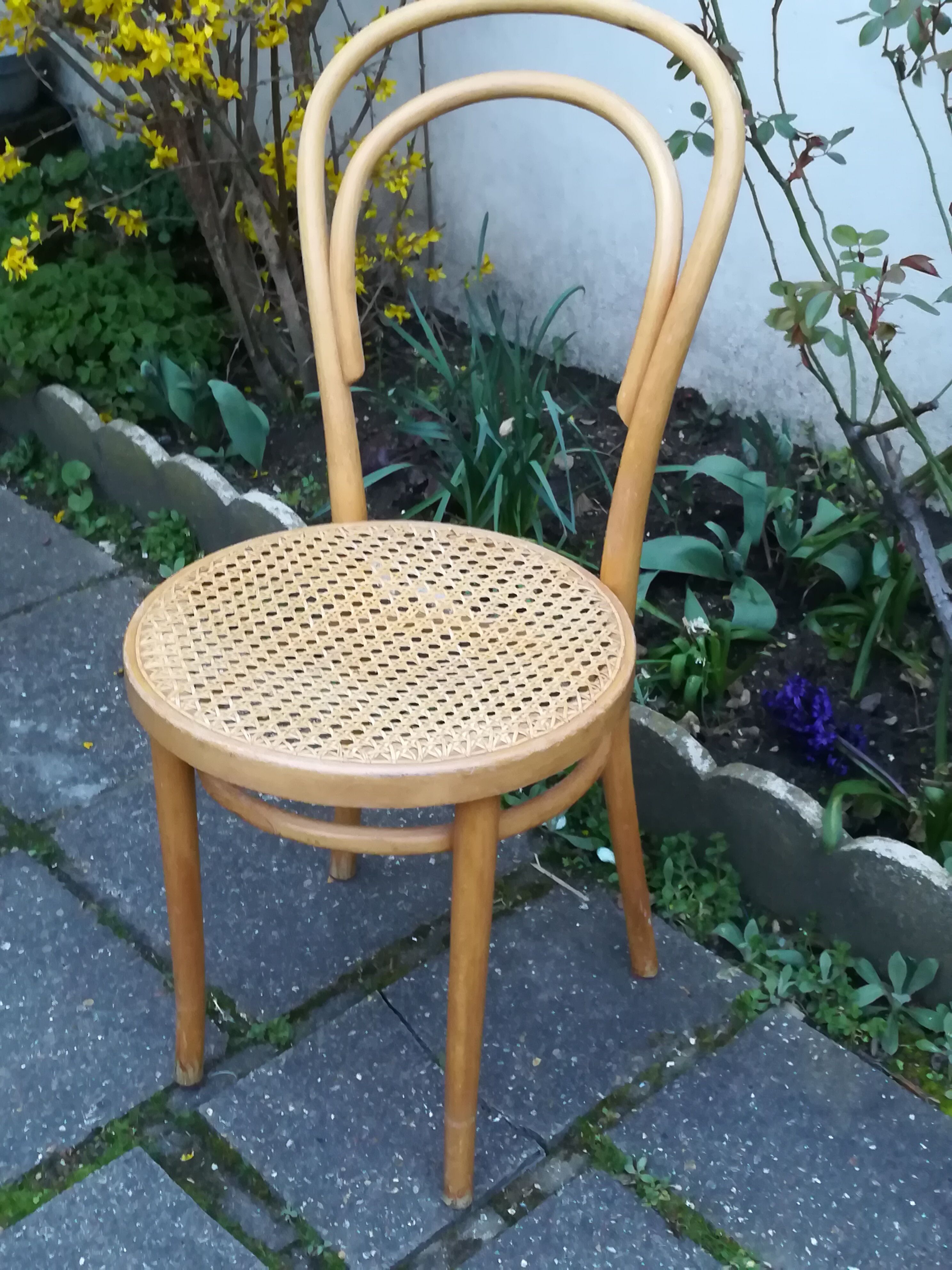 Chair Thonet n ° 14