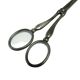 Danish Art Nouveau grape scissors, 1920s