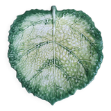 Cabbage leaf dish