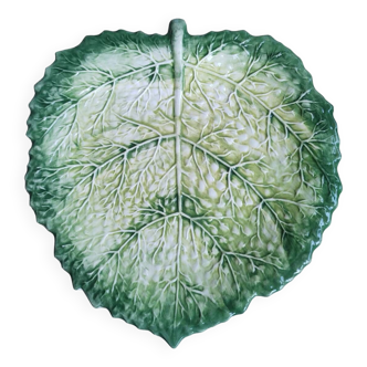 Cabbage leaf dish