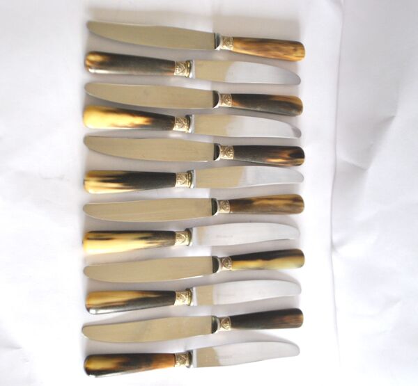 12 couteaux de table vintage en corne et lame inox Reneka