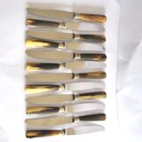 Set of 12 vintage table knives with horn handles and stainless steel blades RENEKA 24.5 cm