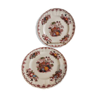 Paire d'assiettes Anglaise Mason's