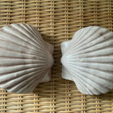Duo of N shell-shaped towel holders in glazed ceramic
