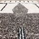 Azilal Berber rug in handmade wool 236 X 156 CM