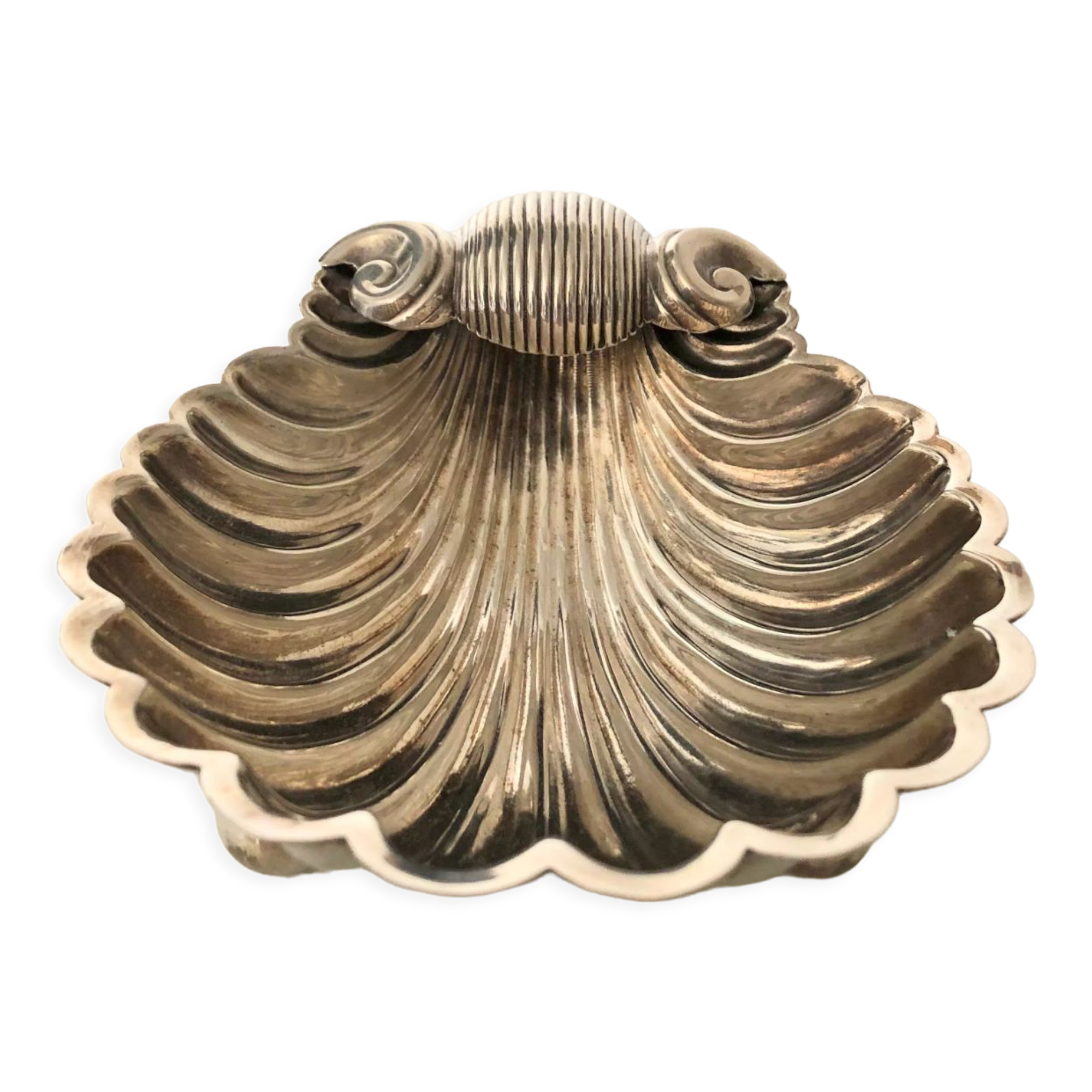 Silver metal shell cut