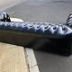 Canapé noir Chesterfield