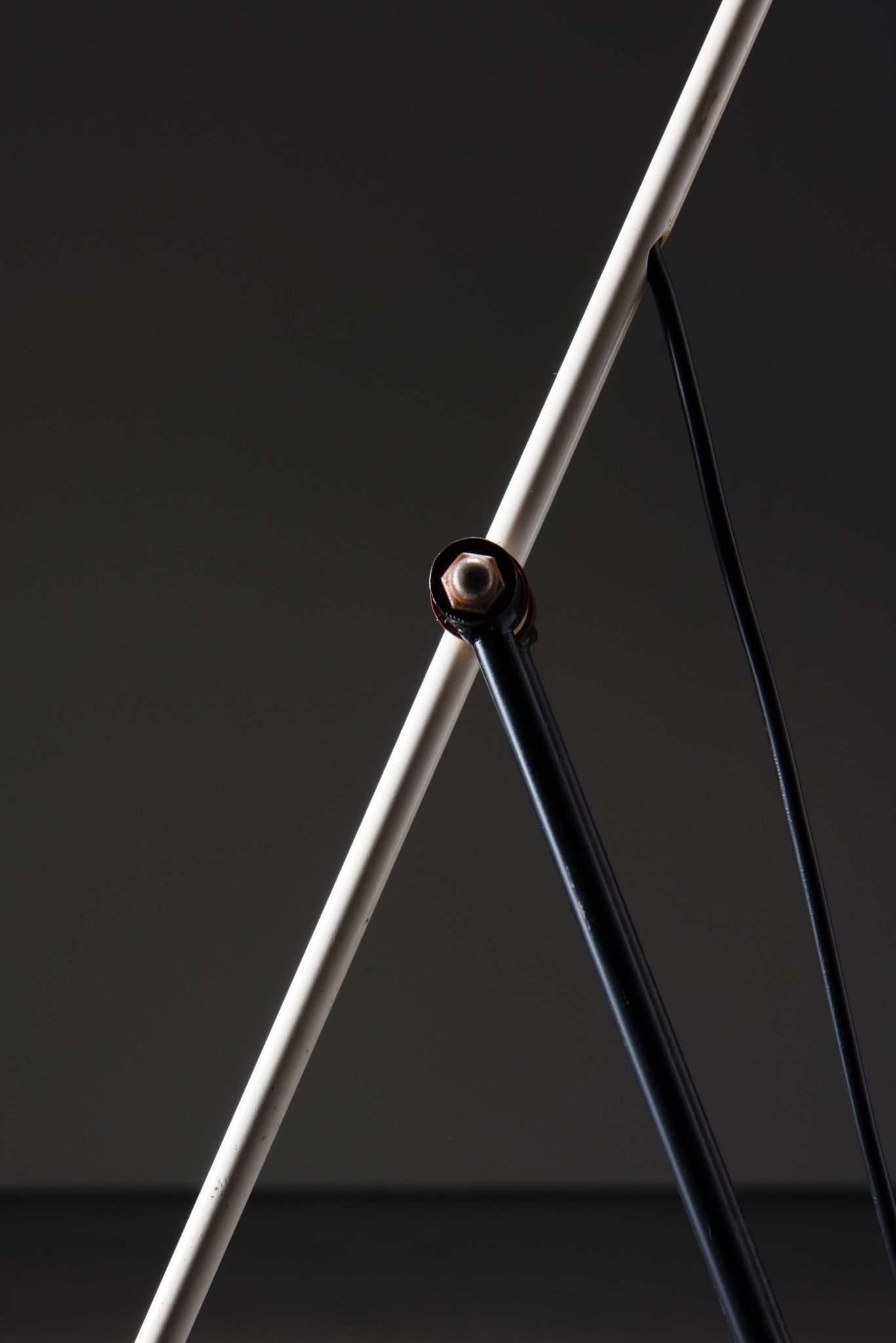 Tivoli Floor Lamp - Floris Fiedeldij