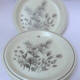 Set of 6 flat english plates