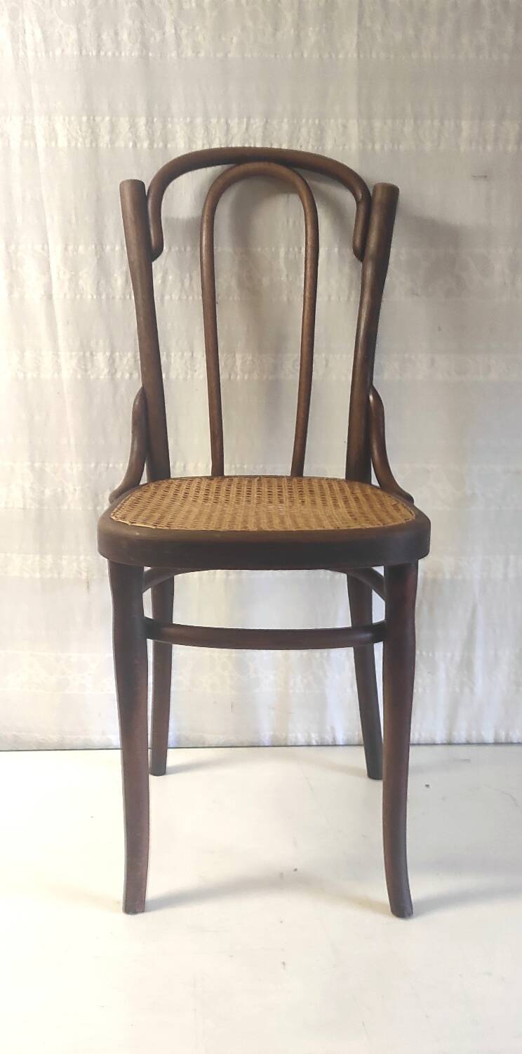 Bistro chair in curved wood and canework - early 20th century