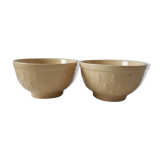 Duo of yellow bowls