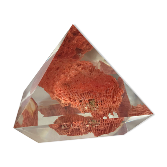 Inclusion in resin of a red coral