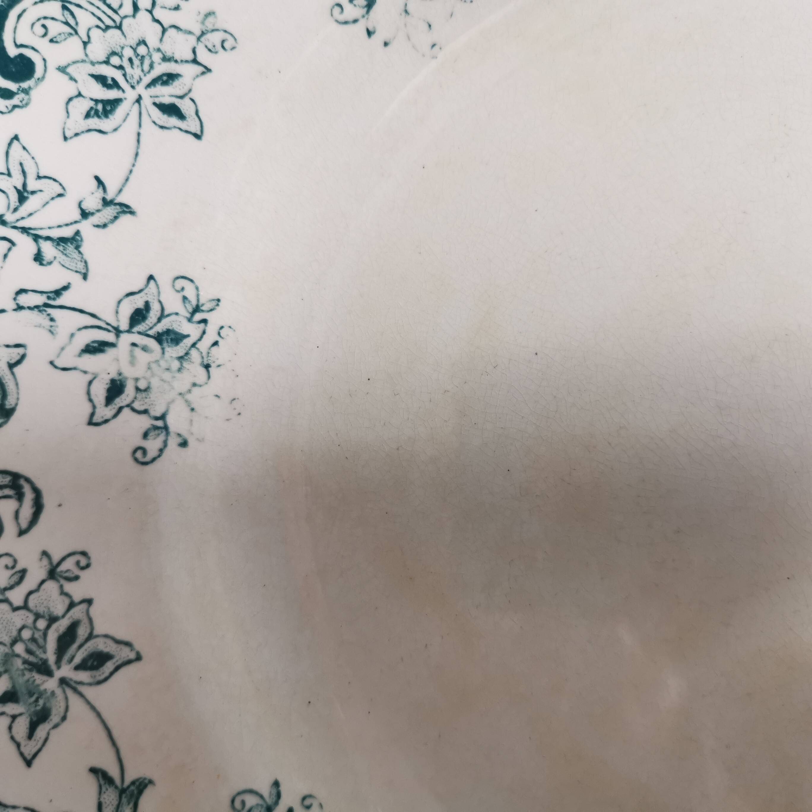 7 Jane model flat plates with dark green floral decoration Saint-Amand