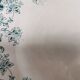 7 Jane model flat plates with dark green floral decoration Saint-Amand