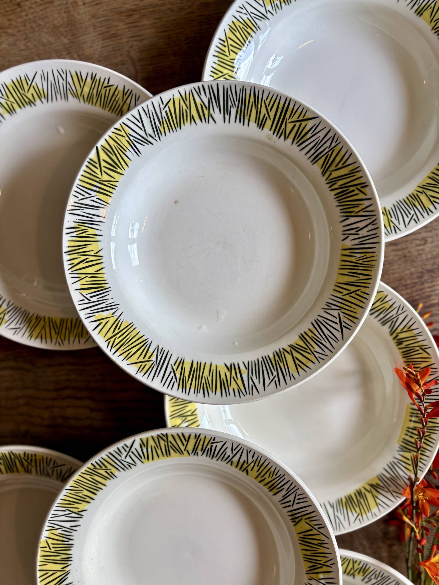 Set of 10 vintage deep plates, Monico models by Digoin/Sarregue.