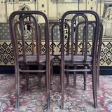 Set of 5 Thonet chairs number 41