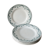Ancient plates, iron earth, green deco décor