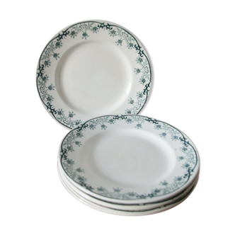 Ancient plates, iron earth, green deco décor